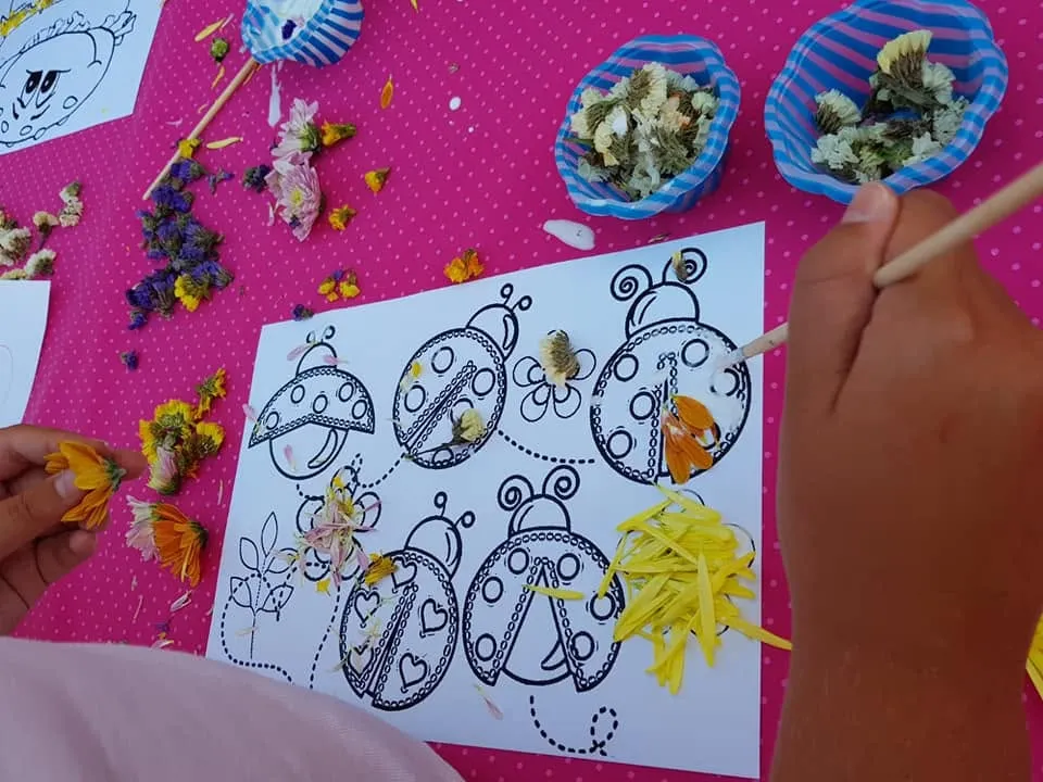 Foto dell'attività