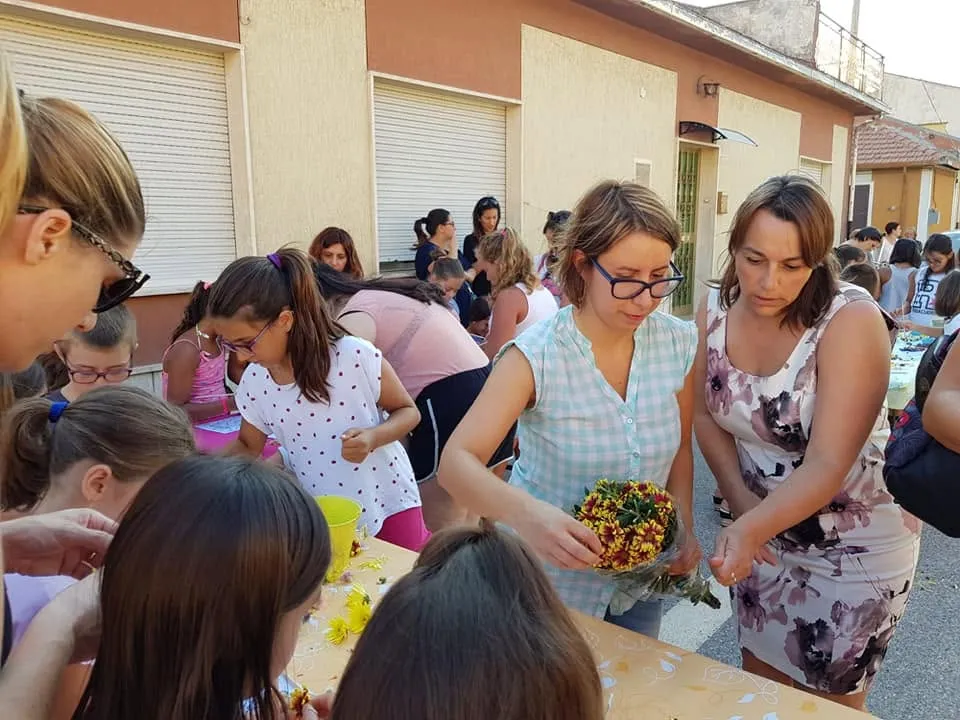 Foto dell'attività