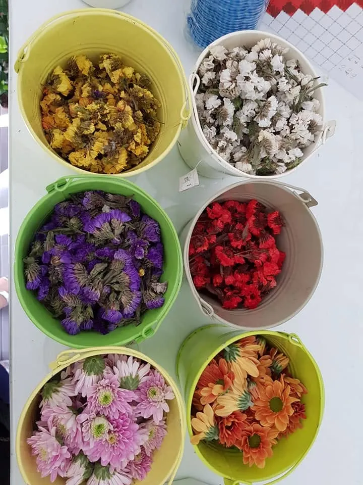 Foto dell'attività