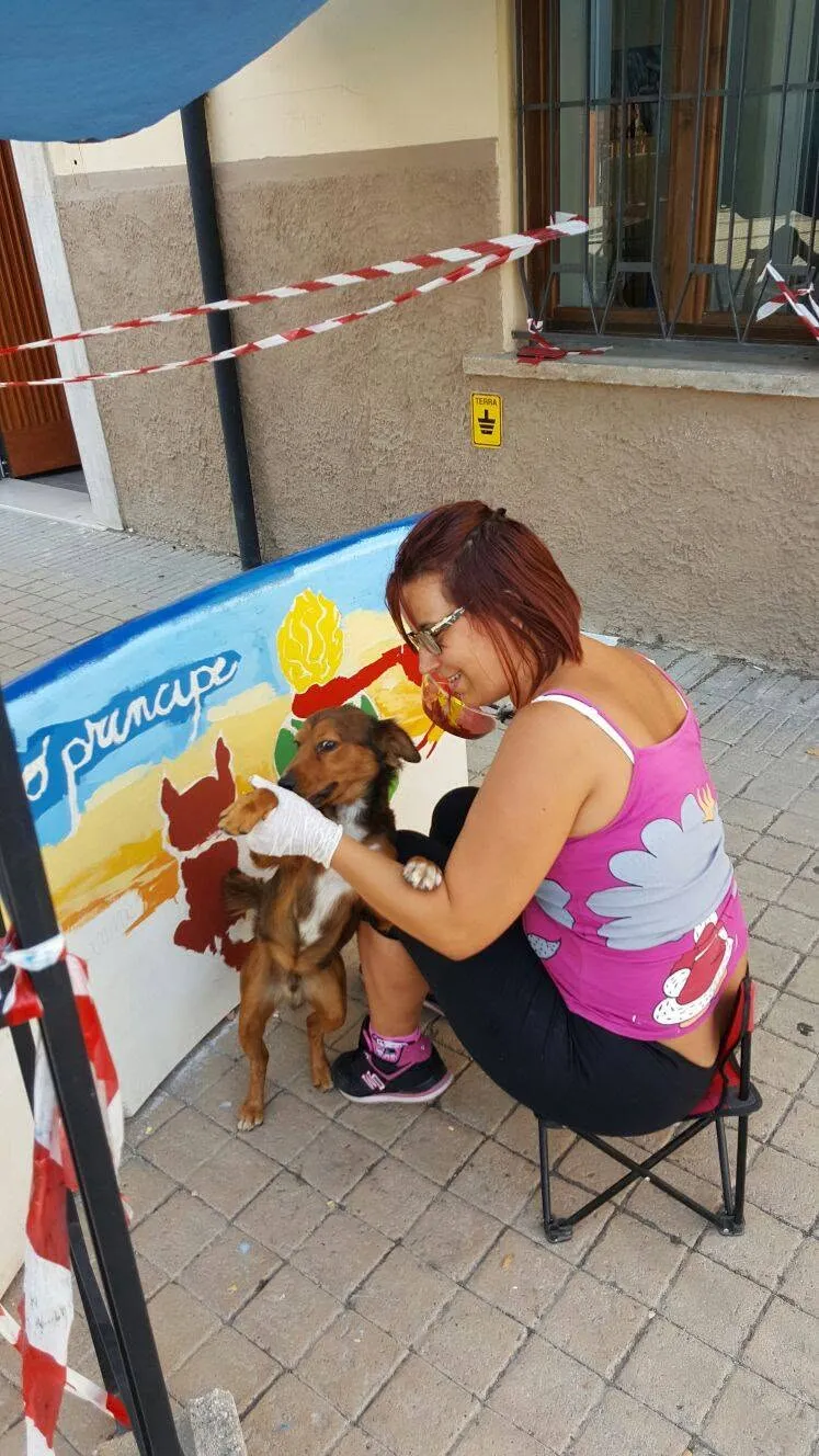Foto dell'evento